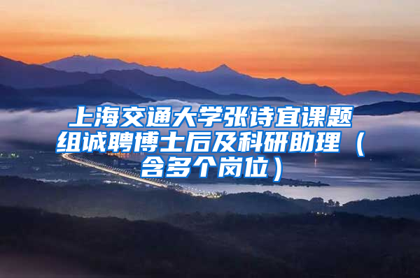上海交通大学张诗宜课题组诚聘博士后及科研助理（含多个岗位）
