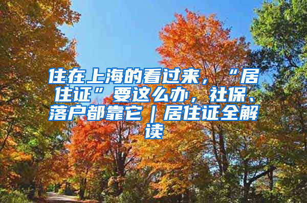 住在上海的看过来，“居住证”要这么办，社保、落户都靠它｜居住证全解读