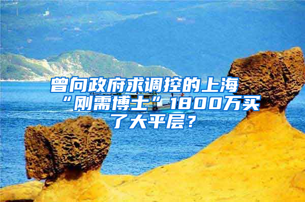 曾向政府求调控的上海“刚需博士”1800万买了大平层？