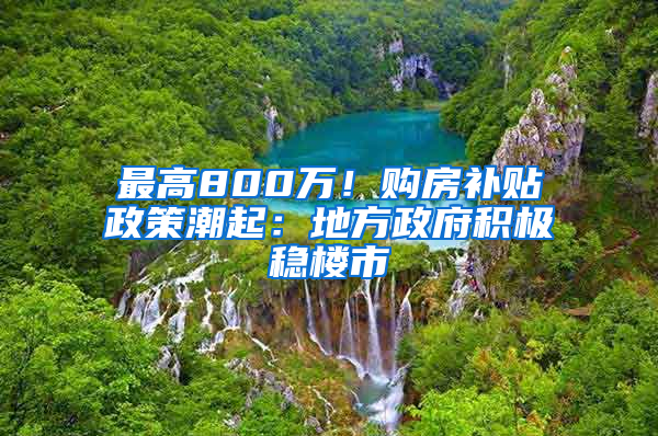 最高800万！购房补贴政策潮起：地方政府积极稳楼市