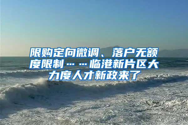 限购定向微调、落户无额度限制……临港新片区大力度人才新政来了