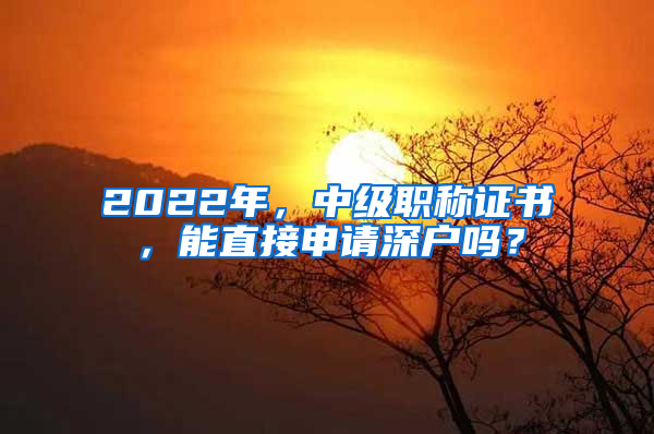 2022年，中级职称证书，能直接申请深户吗？