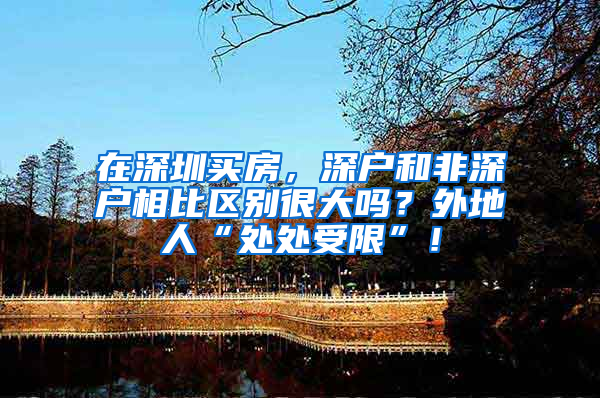 在深圳买房，深户和非深户相比区别很大吗？外地人“处处受限”！