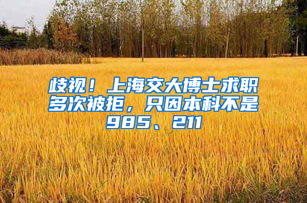 歧视！上海交大博士求职多次被拒，只因本科不是985、211