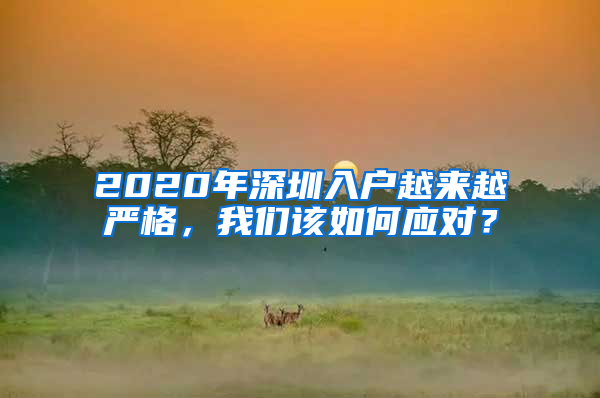 2020年深圳入户越来越严格，我们该如何应对？