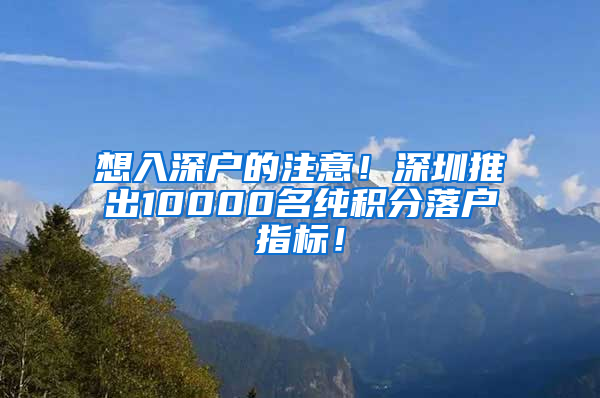 想入深户的注意！深圳推出10000名纯积分落户指标！