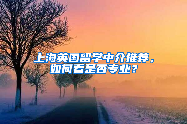 上海英国留学中介推荐，如何看是否专业？