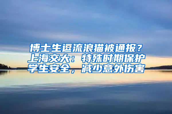 博士生逗流浪猫被通报？上海交大：特殊时期保护学生安全，减少意外伤害