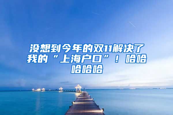 没想到今年的双11解决了我的“上海户口”！哈哈哈哈哈