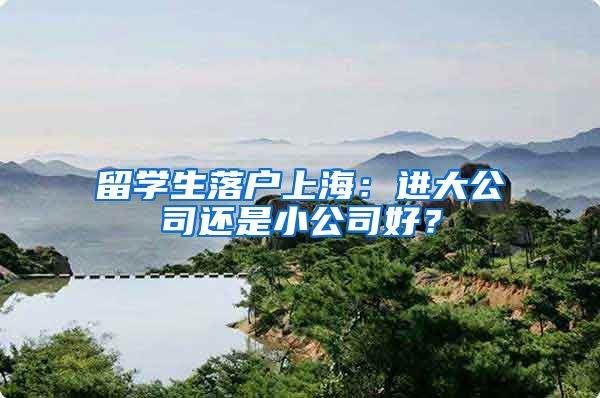 留学生落户上海：进大公司还是小公司好？