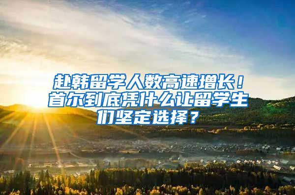 赴韩留学人数高速增长！首尔到底凭什么让留学生们坚定选择？