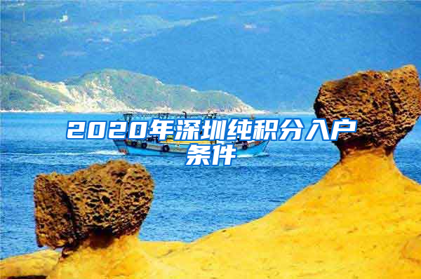 2020年深圳纯积分入户条件