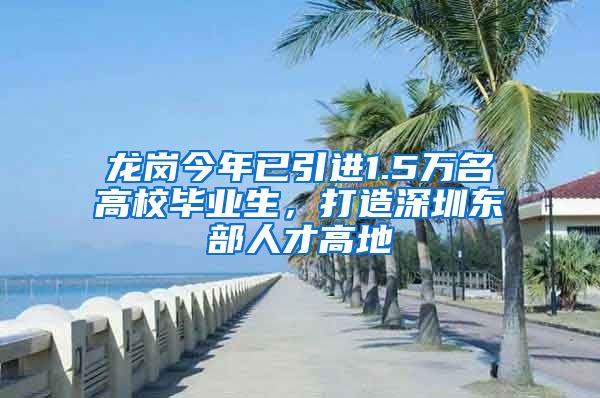 龙岗今年已引进1.5万名高校毕业生，打造深圳东部人才高地