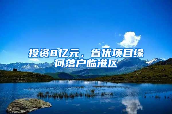 投资8亿元，省优项目缘何落户临港区