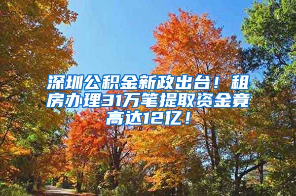 深圳公积金新政出台！租房办理31万笔提取资金竟高达12亿！