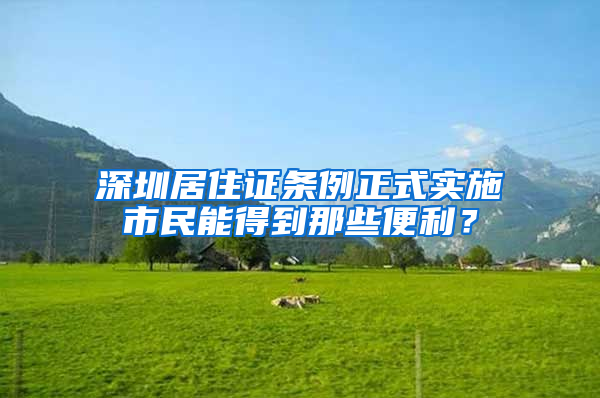 深圳居住证条例正式实施市民能得到那些便利？