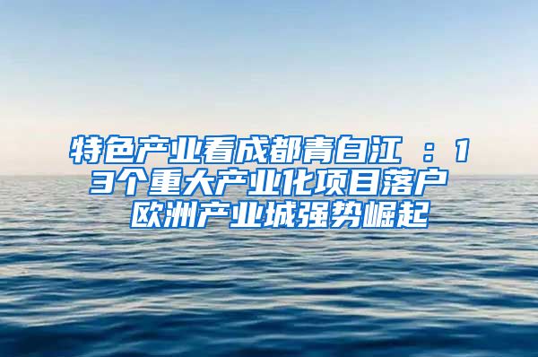 特色产业看成都青白江①：13个重大产业化项目落户 欧洲产业城强势崛起