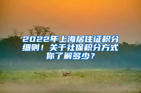 2022年上海居住证积分细则！关于社保积分方式你了解多少？