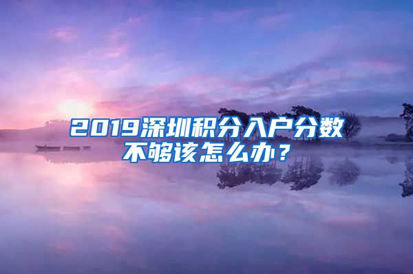 2019深圳积分入户分数不够该怎么办？