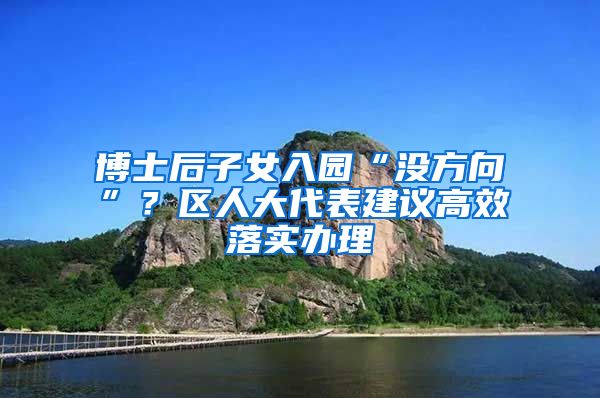 博士后子女入园“没方向”？区人大代表建议高效落实办理