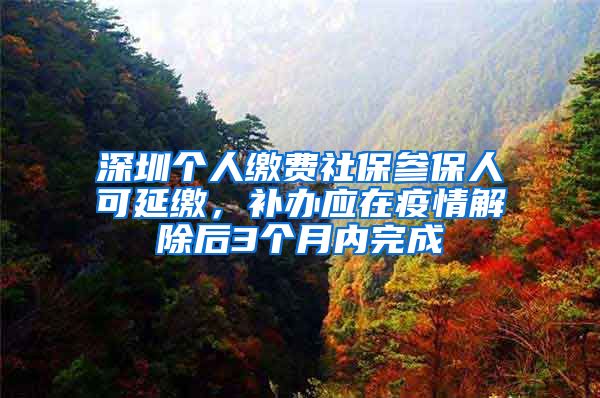 深圳个人缴费社保参保人可延缴，补办应在疫情解除后3个月内完成