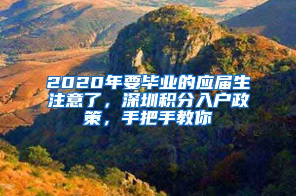 2020年要毕业的应届生注意了，深圳积分入户政策，手把手教你