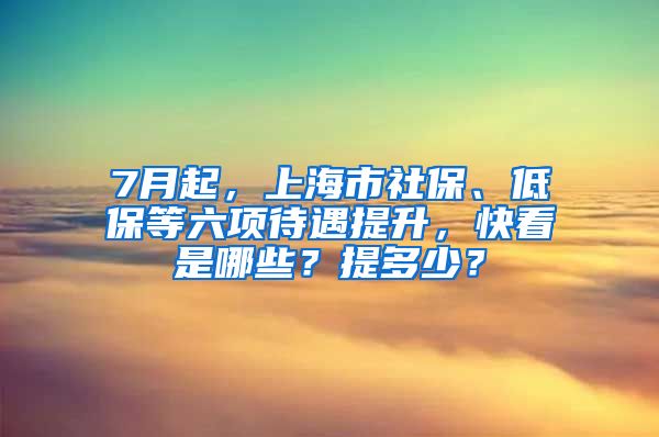 7月起，上海市社保、低保等六项待遇提升，快看是哪些？提多少？