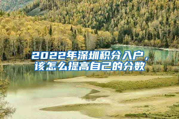 2022年深圳积分入户，该怎么提高自己的分数