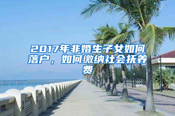 2017年非婚生子女如何落户，如何缴纳社会抚养费