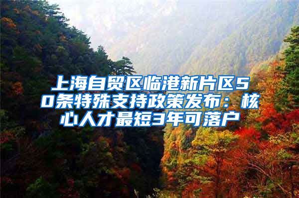 上海自贸区临港新片区50条特殊支持政策发布：核心人才最短3年可落户