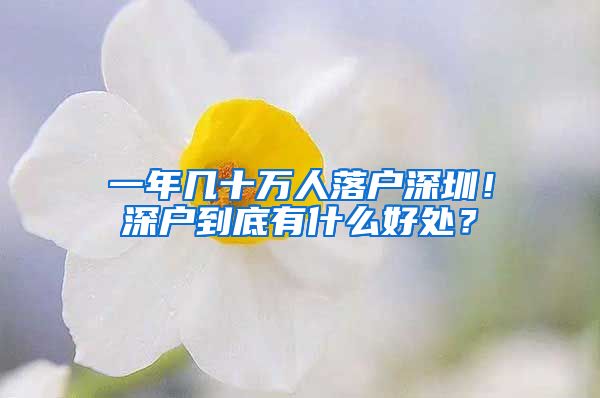 一年几十万人落户深圳！深户到底有什么好处？