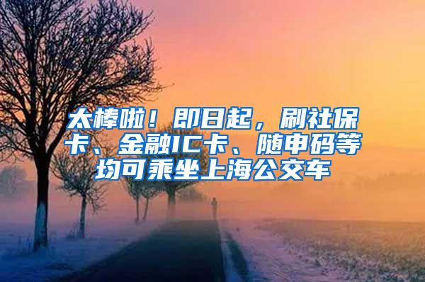 太棒啦！即日起，刷社保卡、金融IC卡、随申码等均可乘坐上海公交车