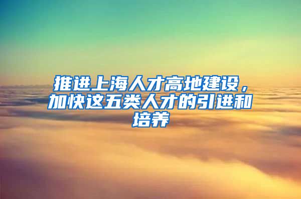 推进上海人才高地建设，加快这五类人才的引进和培养