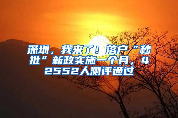 深圳，我来了！落户“秒批”新政实施一个月，42552人测评通过