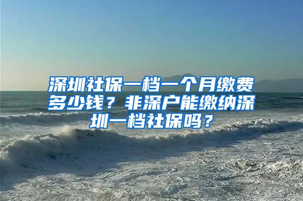 深圳社保一档一个月缴费多少钱？非深户能缴纳深圳一档社保吗？