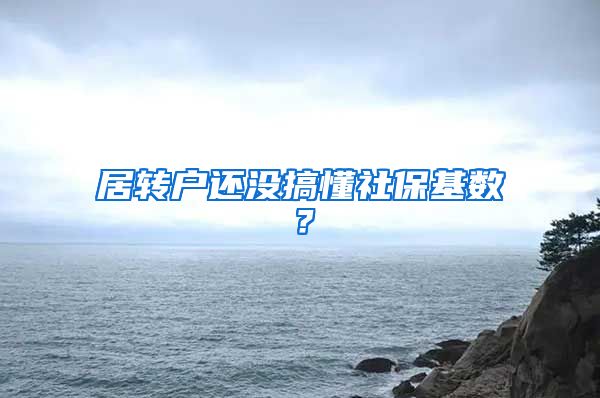 居转户还没搞懂社保基数？