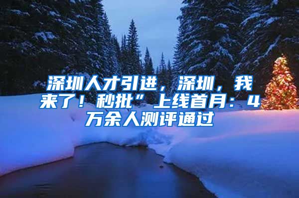 深圳人才引进，深圳，我来了！秒批”上线首月：4万余人测评通过