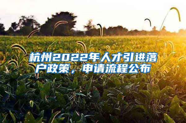 杭州2022年人才引进落户政策，申请流程公布