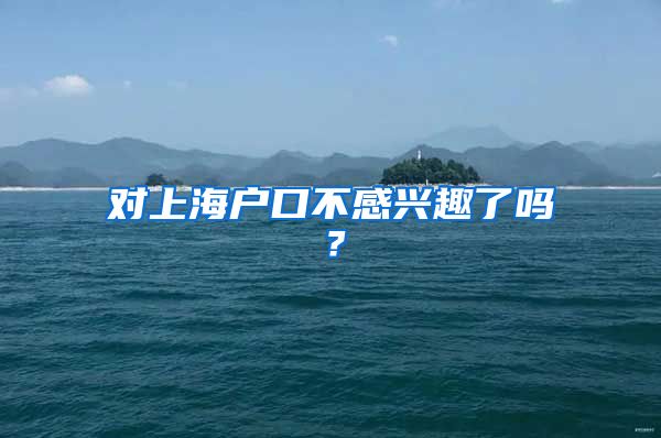 对上海户口不感兴趣了吗？