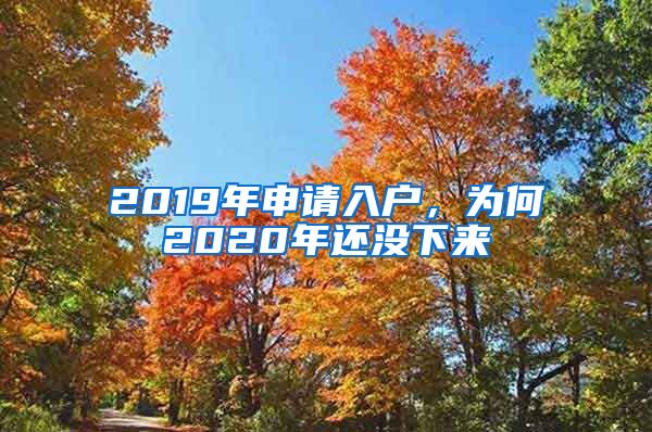 2019年申请入户，为何2020年还没下来