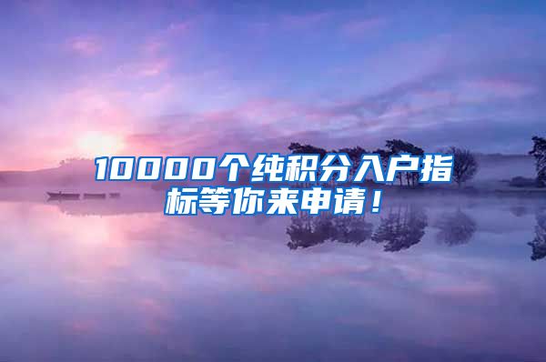 10000个纯积分入户指标等你来申请！