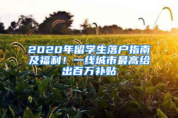 2020年留学生落户指南及福利！一线城市最高给出百万补贴