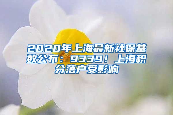 2020年上海最新社保基数公布：9339！上海积分落户受影响