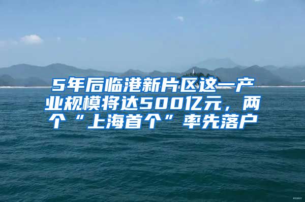 5年后临港新片区这一产业规模将达500亿元，两个“上海首个”率先落户