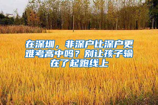 在深圳，非深户比深户更难考高中吗？别让孩子输在了起跑线上