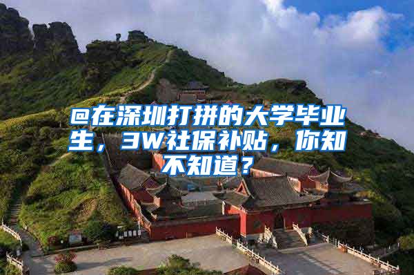 @在深圳打拼的大学毕业生，3W社保补贴，你知不知道？