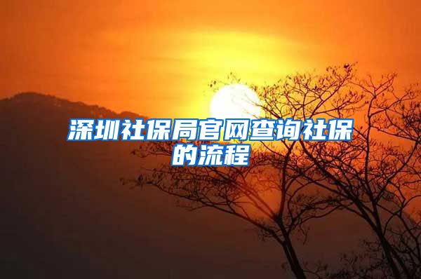 深圳社保局官网查询社保的流程