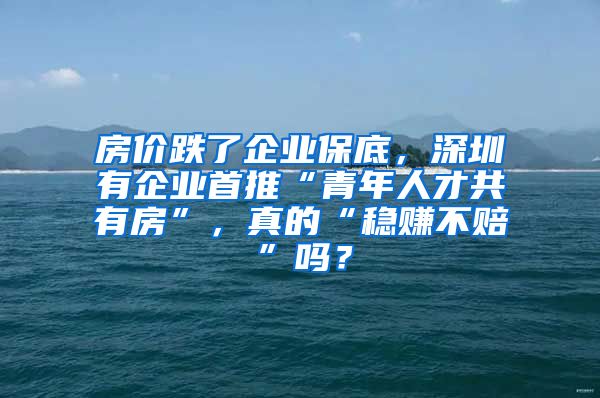 房价跌了企业保底，深圳有企业首推“青年人才共有房”，真的“稳赚不赔”吗？