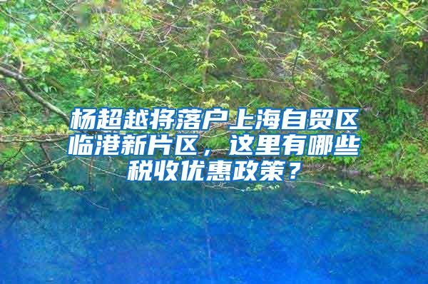 杨超越将落户上海自贸区临港新片区，这里有哪些税收优惠政策？