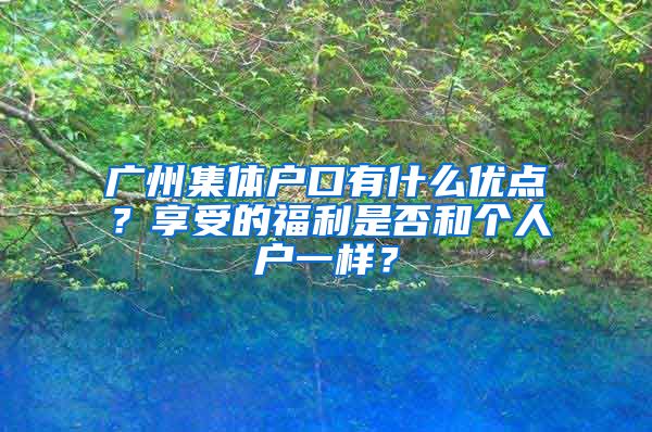 广州集体户口有什么优点？享受的福利是否和个人户一样？